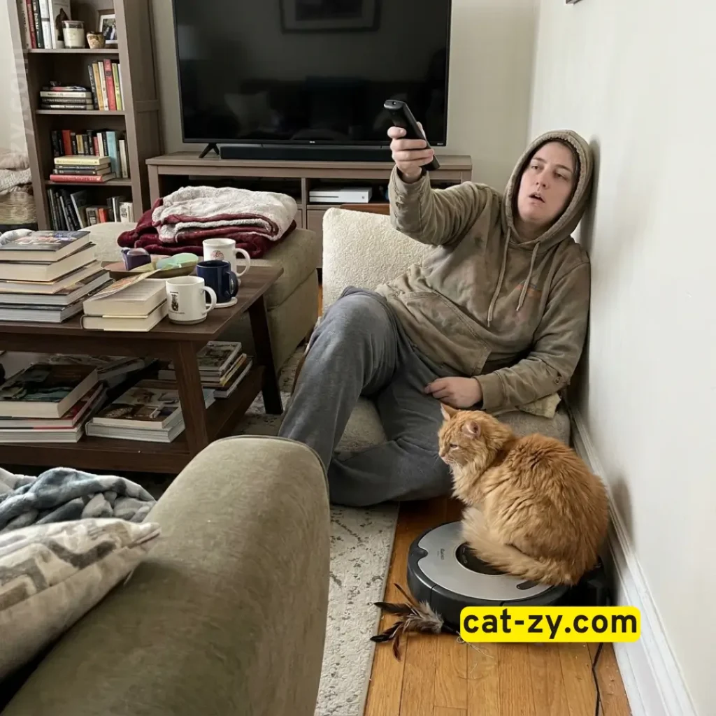 A common mistake with Remote Control Cat Toys highlighted on cat-zy