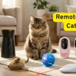 10 Best Remote Control Cat Toys for a Happy, Amazing Pet