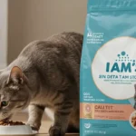 Is Iams a Good Cat Food? An Honest Review – 7 Things to Consider