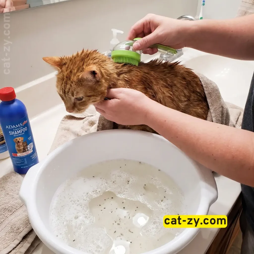 Real pet parent evaluating adams flea and tick shampoo bath results on cat-zy.