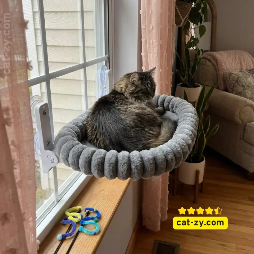 A sturdy collapsible window perch for indoor cats mounted on a glass pane for the cat-zy website, perfect for curious cats watching outside while owners learn why do cats groom each other.