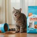 Best 5 Reasons to Pick Iams Dry Cat Food for Adults