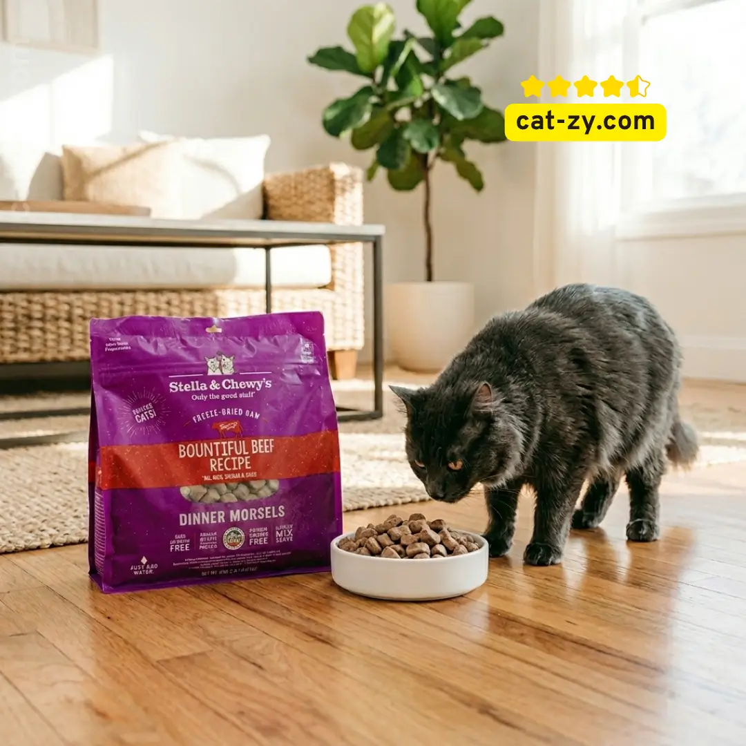 Stella and Chewy Cat Care Review