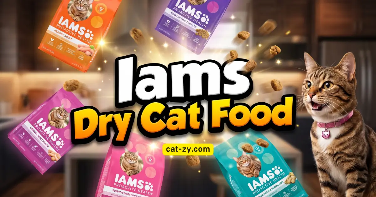 Iams dry cat food bags with flying kibbles and a excited brown tabby cat on cat-zy.