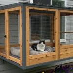 5 Reasons to Get a Window Patio for Cats for a Better Outdoor Experience