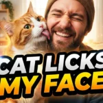 5 Heartwarming Reasons This Stray Cat Licks My Face Now