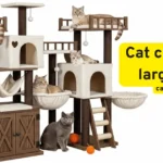 How to Choose the Best Cat Condo for Large Cats