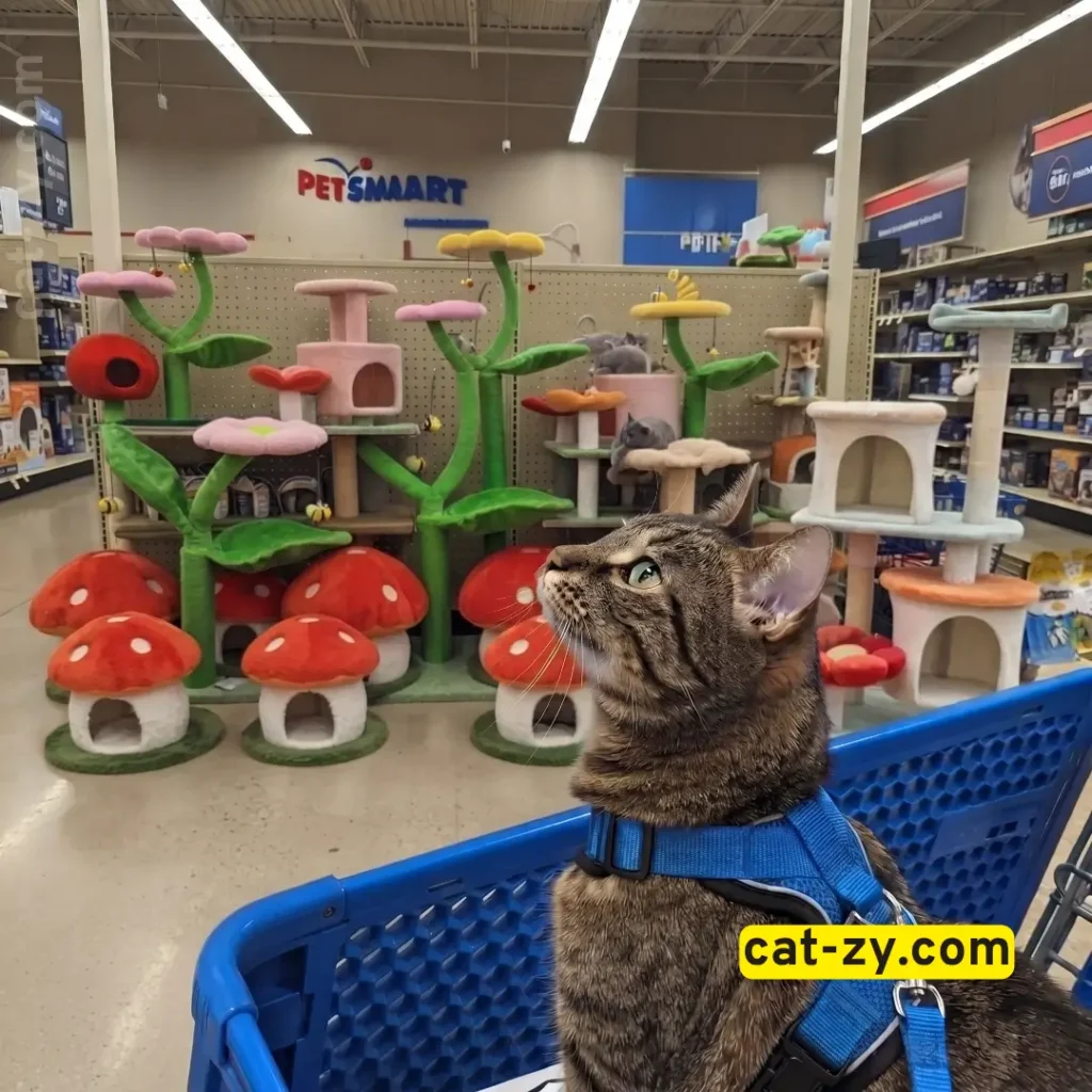Online and in-store flower cat tree shopping guide by cat-zy.