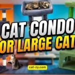 How to Choose the Best Cat Condo for Large Cats