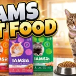 How to Buy Best Iams Cat Food: Essential Shops Today