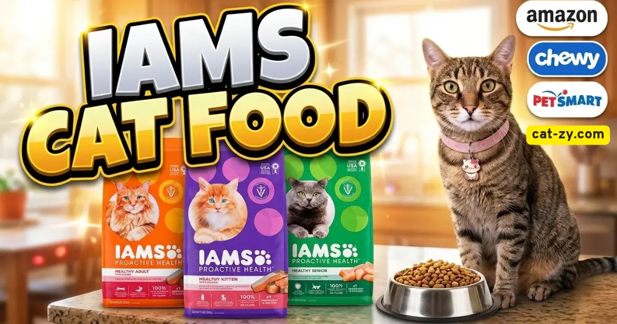 A female brown tabby cat named Mimish sitting beside bags of IAMS cat food and a bowl of kibble, featured in a cat-zy nutrition guide about finding the best deals across top pet shops.