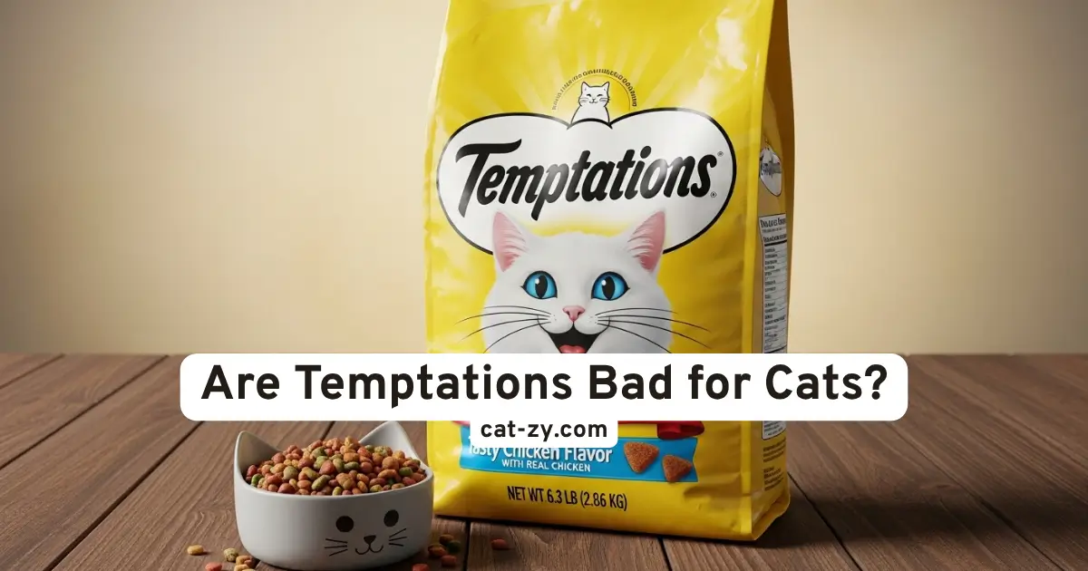 Are Temptations Bad for Cats _ cat-zy