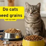 Do Cats Need Grains? 5 Surprising Truths Backed by Experts
