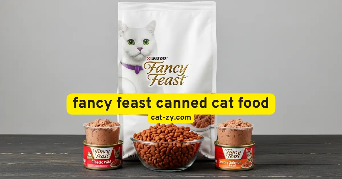 fancy feast canned cat food _ cat-zy