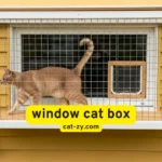 How a Window Cat Box Can Transform Your Cat’s Space