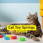 Cat Toy Springs: 7 Fun Reasons Cats Go Crazy for Them