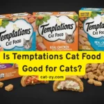 Is Temptations Cat Food Good for Cats? 5 Honest Insights You Need