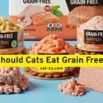 Should Cats Eat Grain Free? 6 Powerful Reasons Why They Might Not