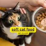 Soft Cat Food: 7 Irresistible Picks Your Cat Will Love