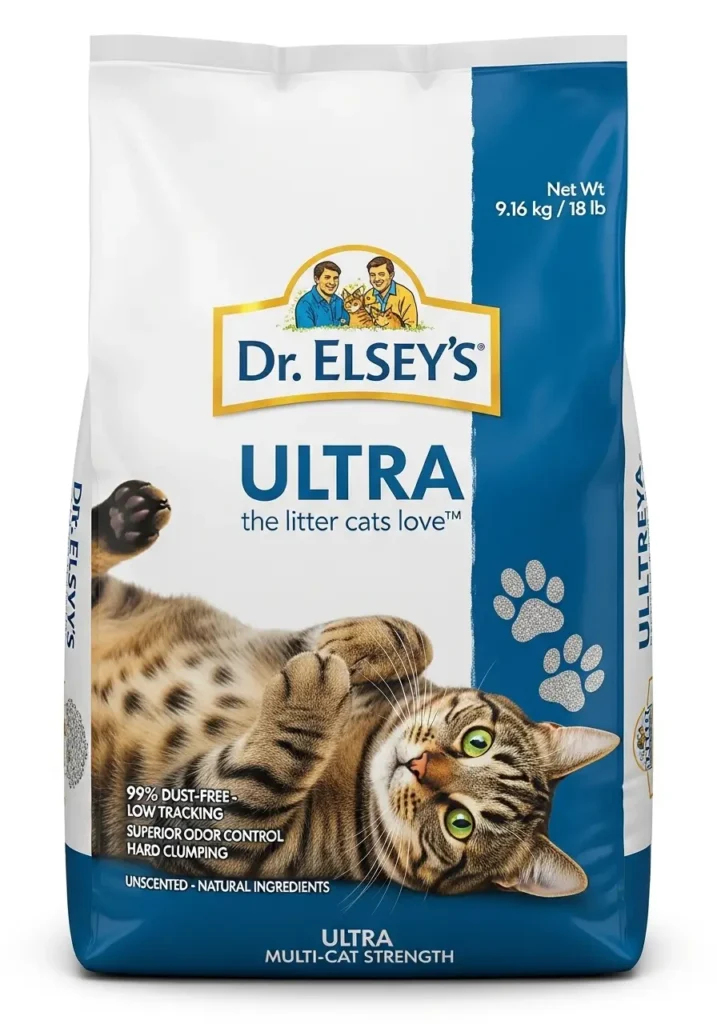 bengal kitten cost _ cat-zy _ Cat litter