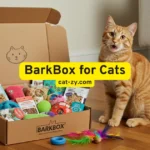 5 Shocking BarkBox for Cats Secrets That Amaze Owner