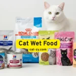 Cat Wet Food: 7 Tasty Picks That Make Mealtime Better