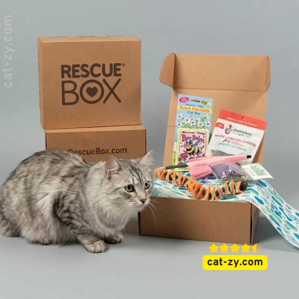 A photorealistic close-up of the RescueBox subscription box and its contents, including Shameless Pets treats and Bloomin' Kitty packets, arranged neatly against a modern soft grey background. A silver tabby cat sits beside the box, featured in our review on cat-zy.
