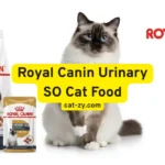 Royal Canin Urinary SO Cat Food: 5 Surprising Facts You Must Know