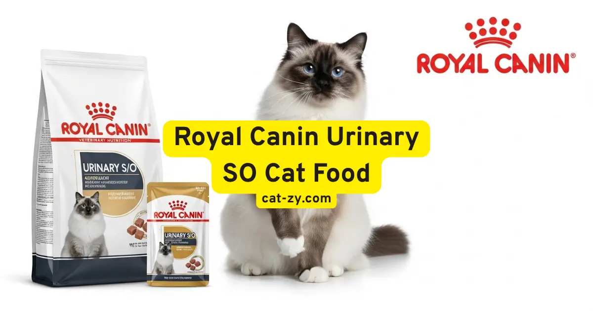 Royal Canin Urinary SO Cat Food _ cat-zy