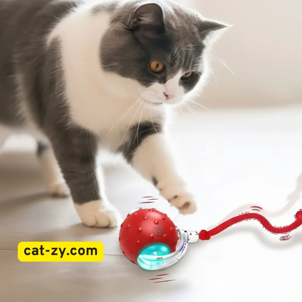Automated Cat Toys _ Moving Cat Toys