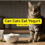 Can Cats Eat Yogurt: 7 Devastating Yogurt Truths That Will Shock Cat Parents