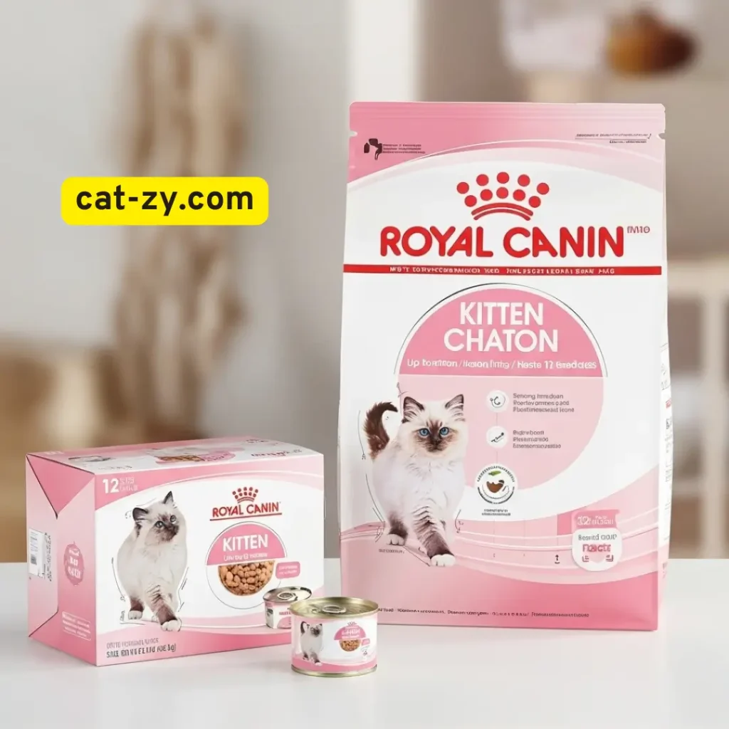 High-quality kitten food _ cat-zy