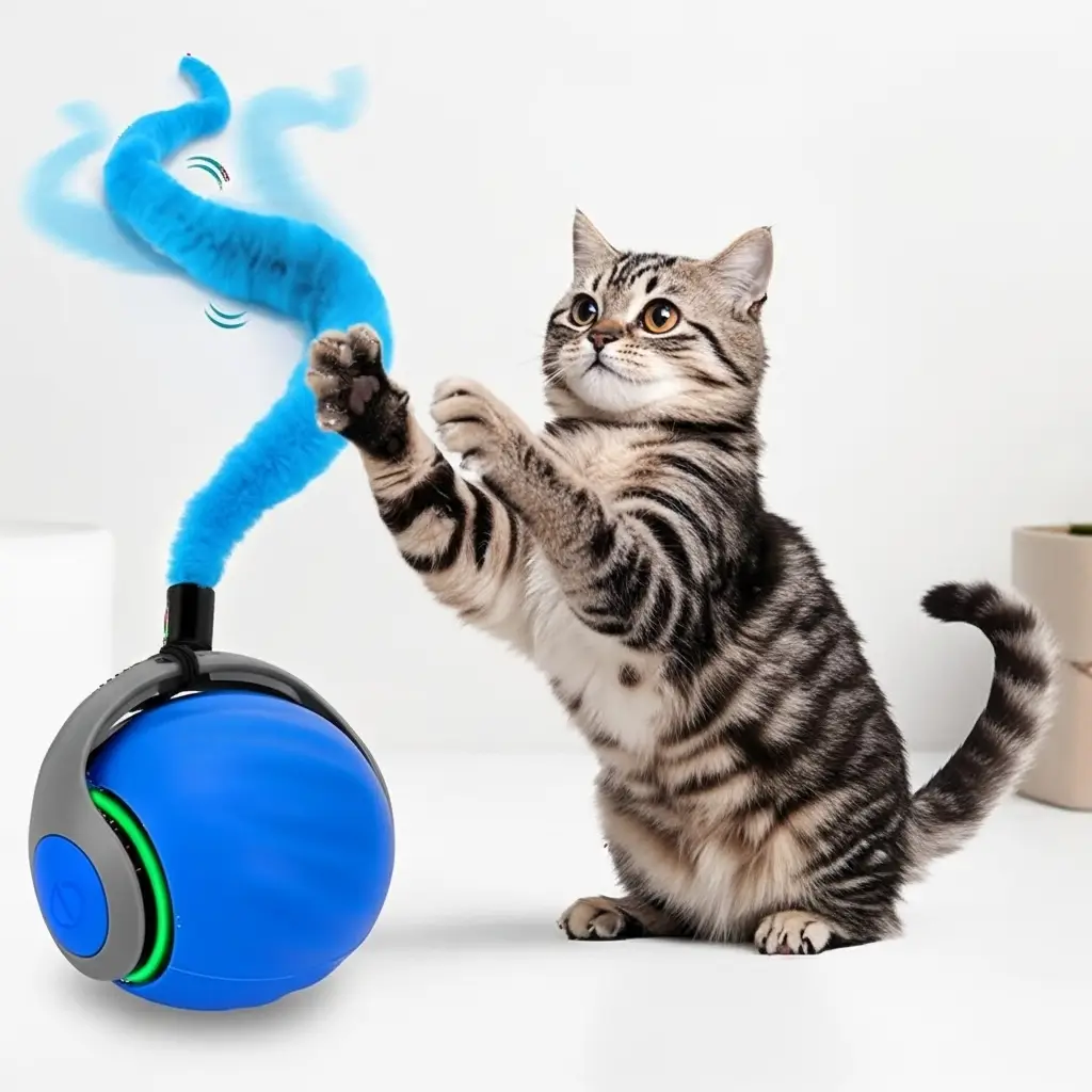 Interactive Cat Toy Ball - Speedy Cat Toys _ cat-zy