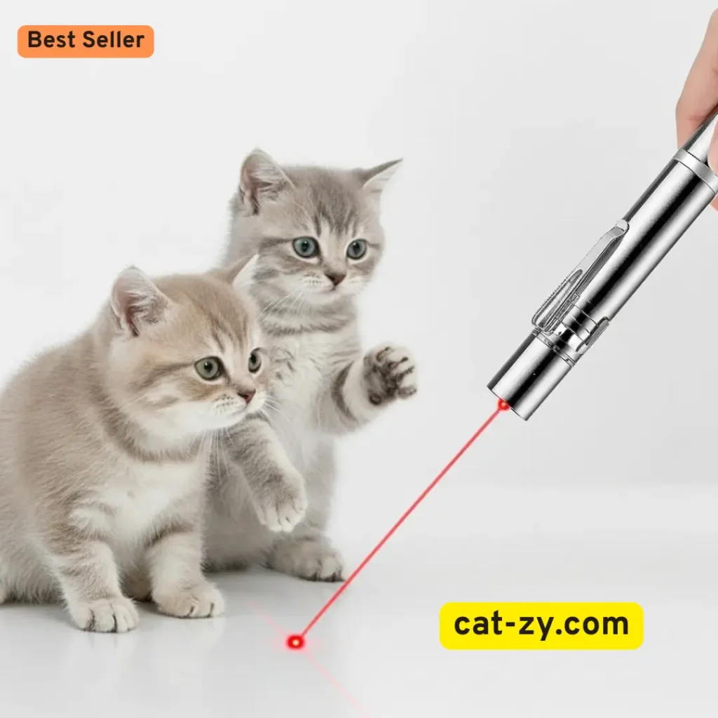 Laser and Light-Based Toys _ Dog and Cat Toys _ cat-zy