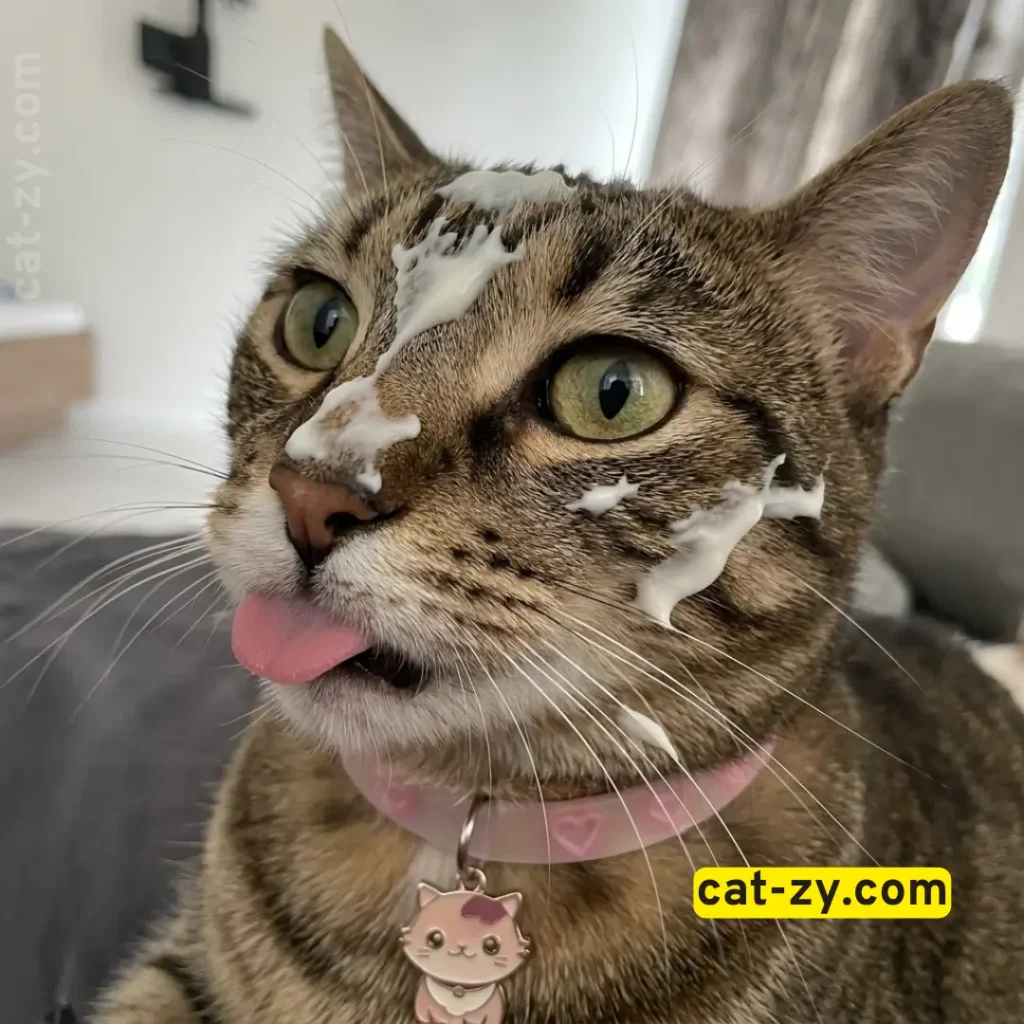 A photorealistic close-up photograph of Mimish covered in yogurt, replicating the exact scene and composition of images for the Cat-zy guide on whether can cats eat yogurt.