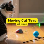 Moving Cat Toys: 5 Devastating Secrets Behind Feline Rejection