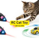 5 Genius RC Cat Toy Secrets That Drive Felines Wild