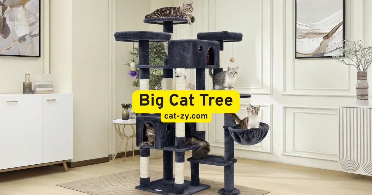big cat tree _ cat-zy