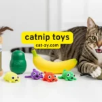 5 Unstoppable Catnip Toys Your Kitty Will Absolutely Love