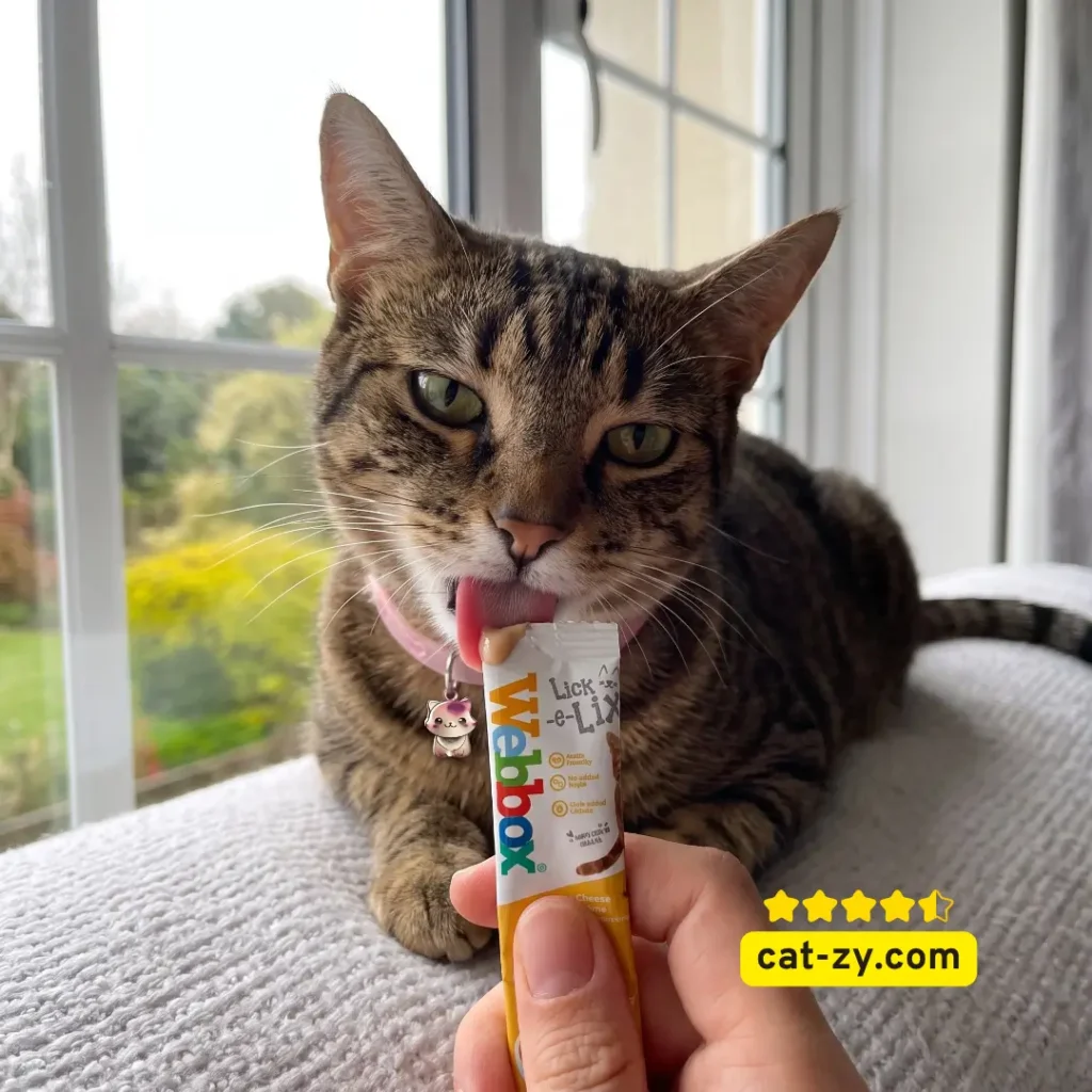 A brown tabby cat happily licking a Webbox Lick E Lix treat sachet held by a human hand, illustrating safe alternatives while exploring can cats eat yogurt on cat-zy.