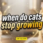 When Do Cats Stop Growing? 7 Viral Growth Secrets Revealed