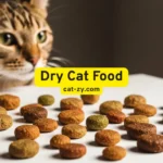 Best 7 Irresistible Dry Cat Foods Your Feline Will Devour