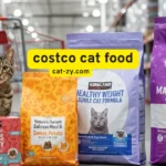 Costco Cat Food: 5 Brutal Truths That’ll Stun You Now