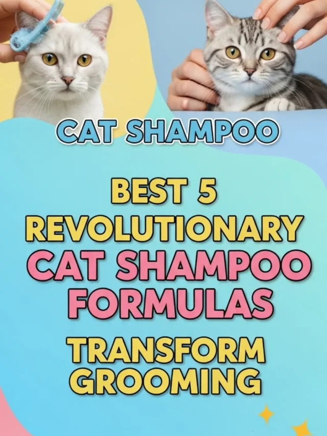 Top 5 Cat Shampoos That Transform Grooming!