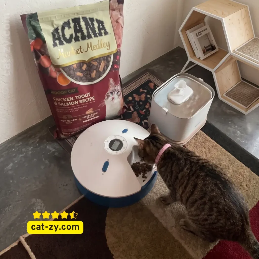 A cat eating near a bag of acana market medley indoor cat food Chicken & Trout 9lb Bag as evaluated in feeding guides by cat-zy